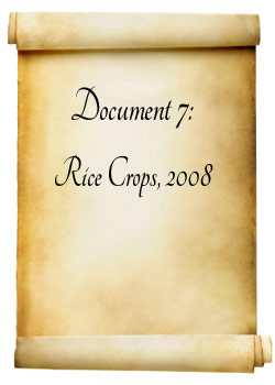 Document 7: rice crops