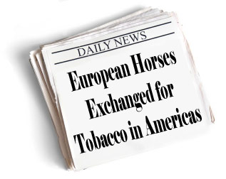 Newspaper headline: European Horses Exchanged for Tobacco in Americas