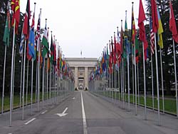 Member Flags of the United Nations at Geneva