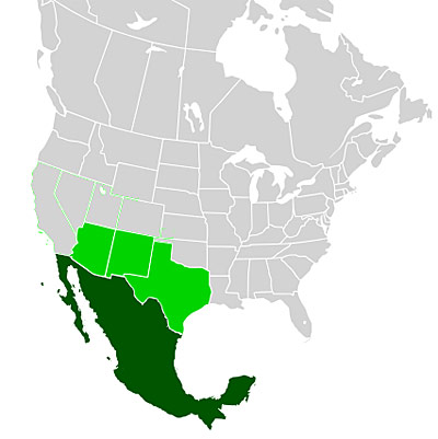 Shown here are the territories promised to Mexico in the Zimmerman Telegram
